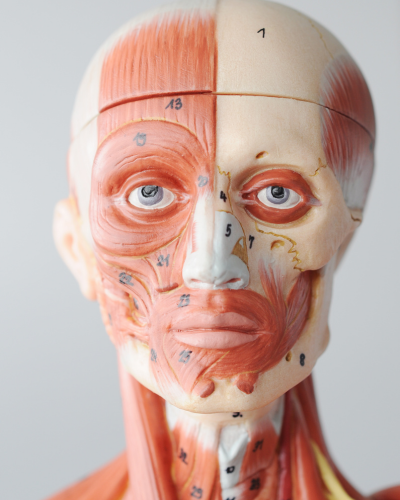 Ultimate Complications Management Course